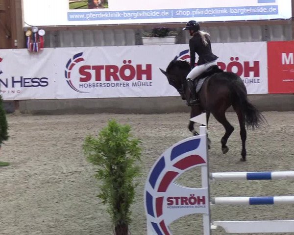 Nordic Jumping events 2019