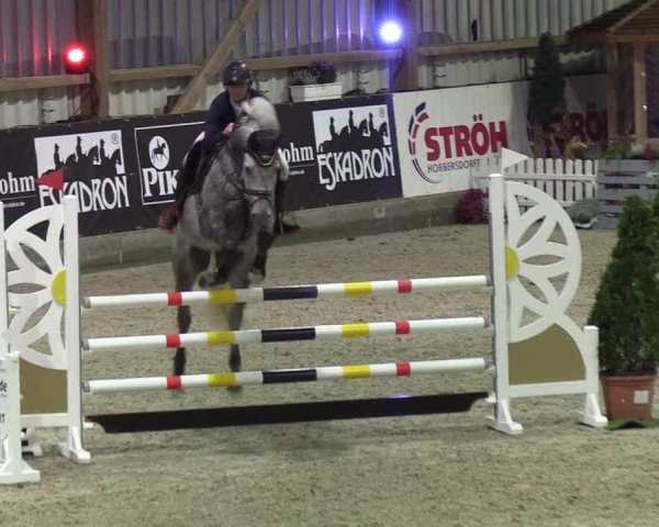 Nordic Jumping events 2019