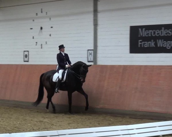 Reitturnier Ratingen-Hösel - Gut Gützenhof 2019