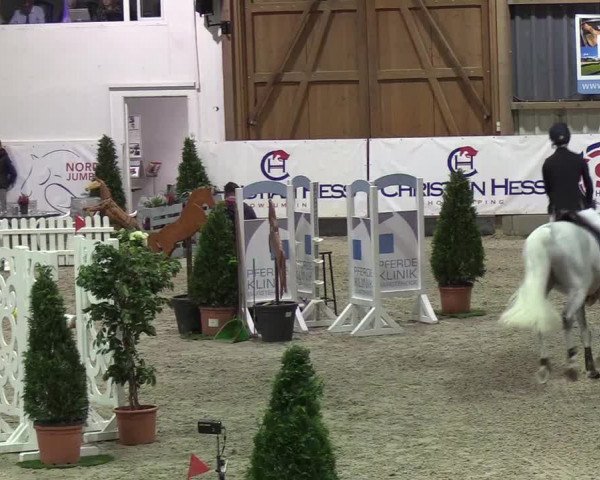 Nordic Jumping events 2019