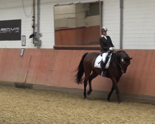 Reitturnier Ratingen-Hösel - Gut Gützenhof 2019