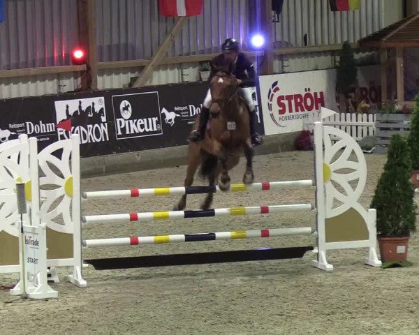 Nordic Jumping events 2019