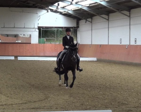 Reitturnier Ratingen-Hösel - Gut Gützenhof 2019