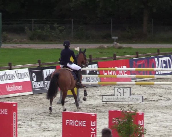 Reitturnier Westergellersen 2021