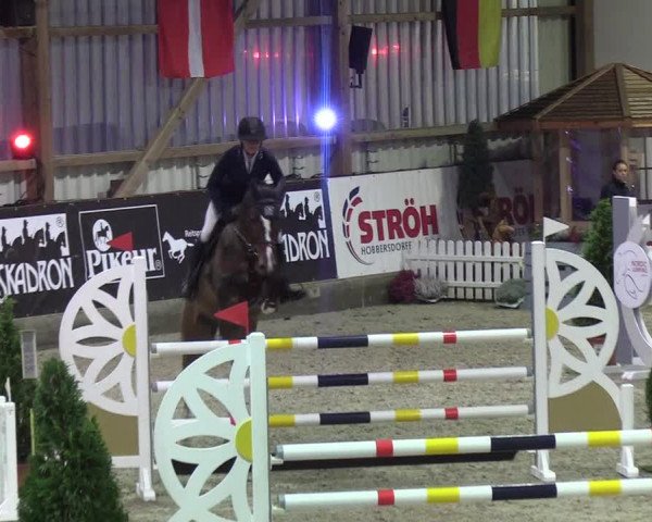 Nordic Jumping events 2019