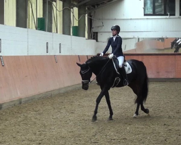Reitturnier Ratingen-Hösel - Gut Gützenhof 2019