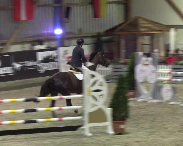 Nordic Jumping events 2019