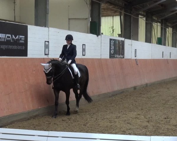 Reitturnier Ratingen-Hösel - Gut Gützenhof 2019