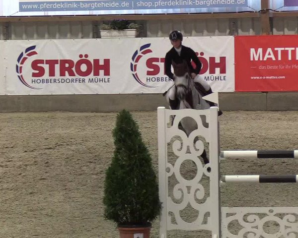 Nordic Jumping events 2019