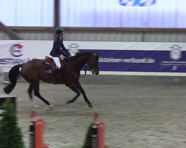 Nordic Jumping events 2019