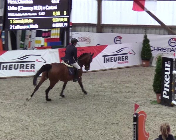 Nordic Jumping events 2019