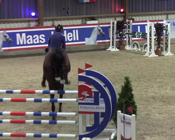 Nordic Jumping events 2019