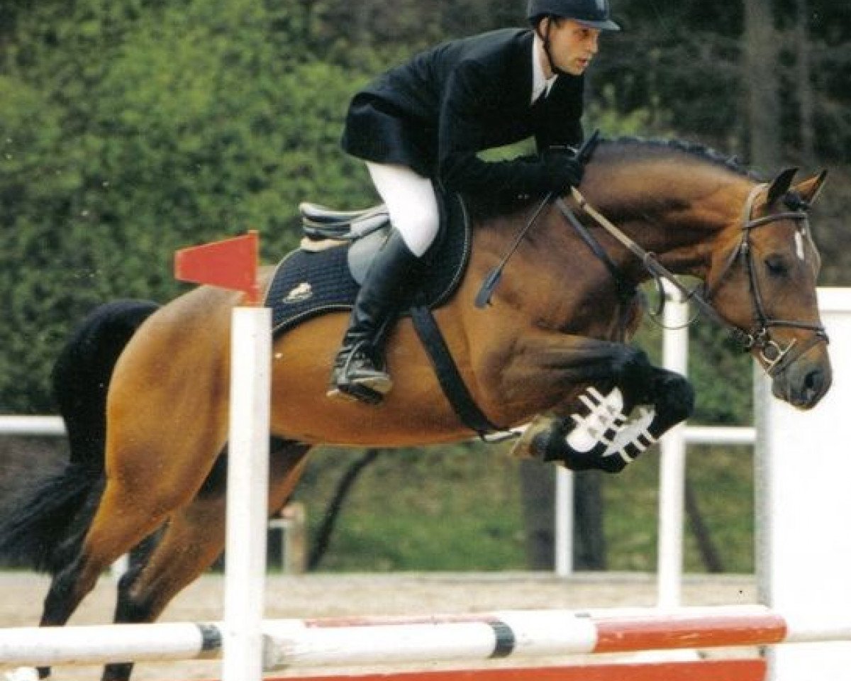stallion Lamur SL (Rhinelander, 1997, from Larome)