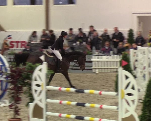 Nordic Jumping events 2019