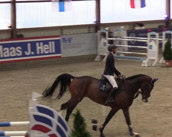Nordic Jumping events 2019