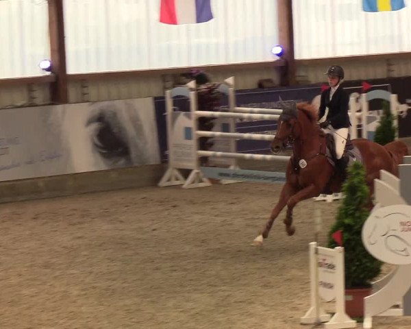 Nordic Jumping events 2019