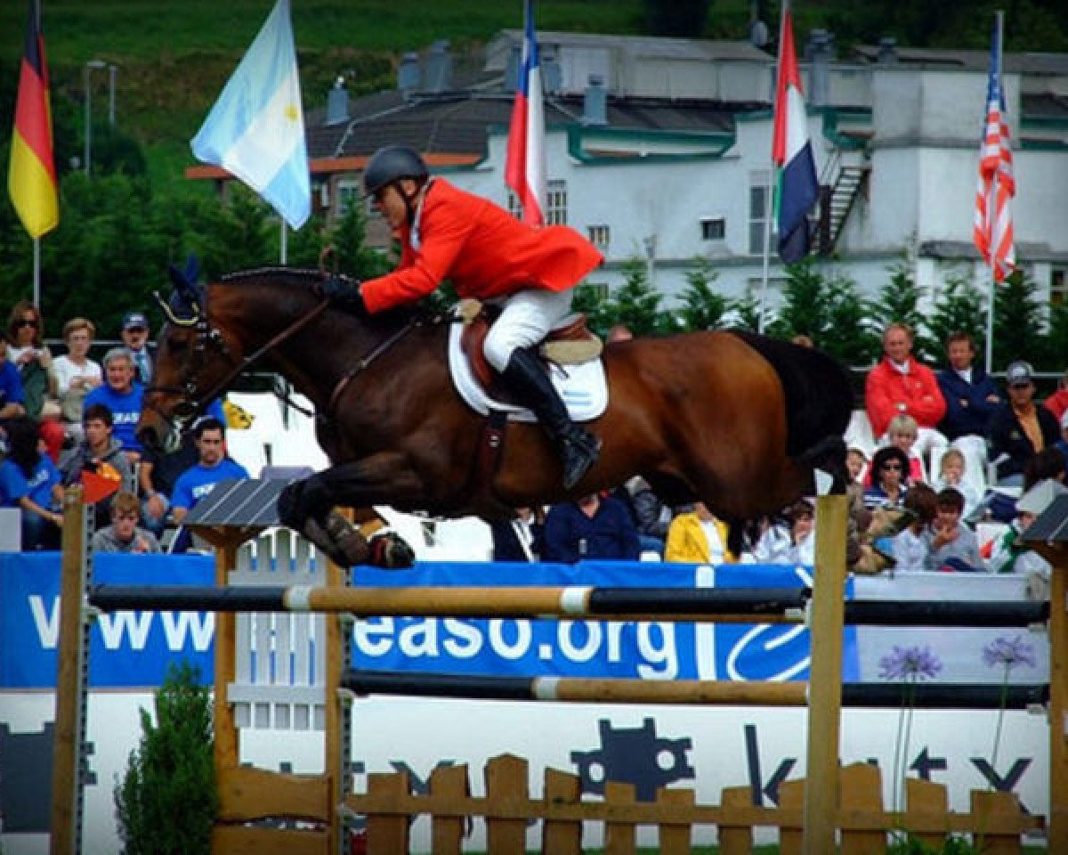 Semental Prince de Revel (Sangre caliente belga, 1992, de Quidam de Revel)
