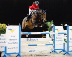 stallion Cadence van't Gelutt Z (Zangersheide riding horse, 2002, from Cento)