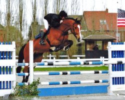 broodmare Fin Chin van't Gelutt (Belgian Warmblood, 2005, from Chin Chin)