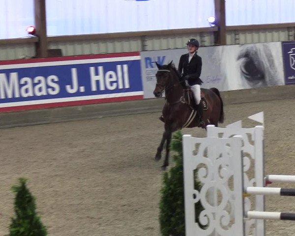 Nordic Jumping events 2019