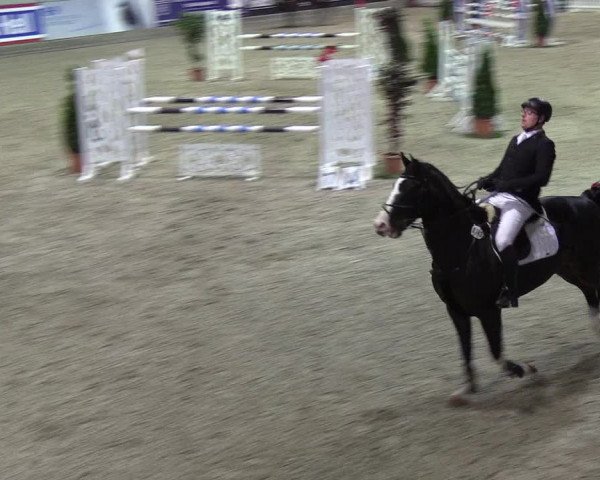 Nordic Jumping events 2019