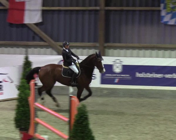 Nordic Jumping events 2019