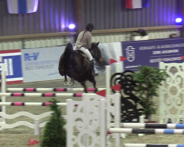 Nordic Jumping events 2019