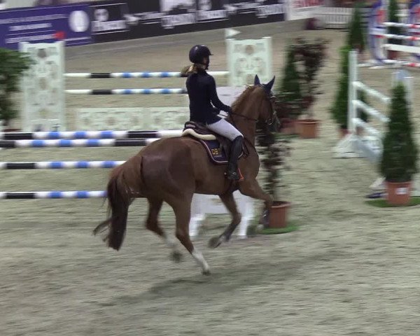 Nordic Jumping events 2019