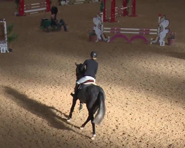 Reitturnier Kreuth/Opf. 2019