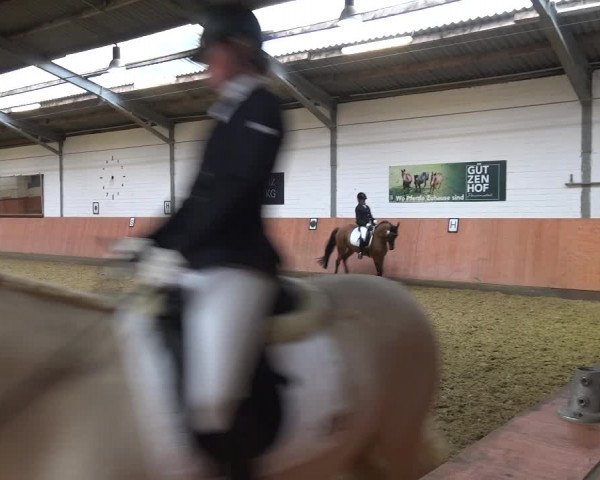Reitturnier Ratingen-Hösel - Gut Gützenhof 2019