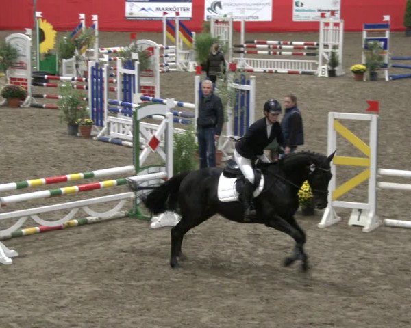 Reitturnier Salzkotten 2019