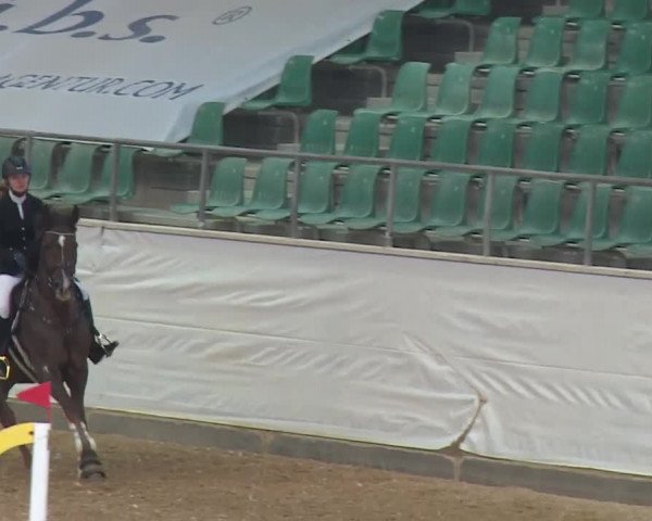 Reitturnier Kreuth/Opf. 2019
