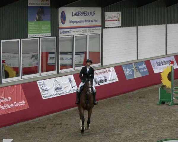 Reitturnier Salzkotten 2019
