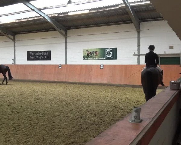 Reitturnier Ratingen-Hösel - Gut Gützenhof 2019