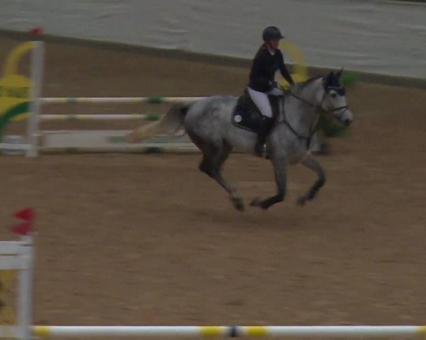Reitturnier Kreuth/Opf. 2019