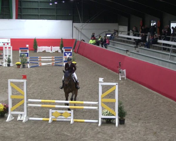 Reitturnier Salzkotten 2019
