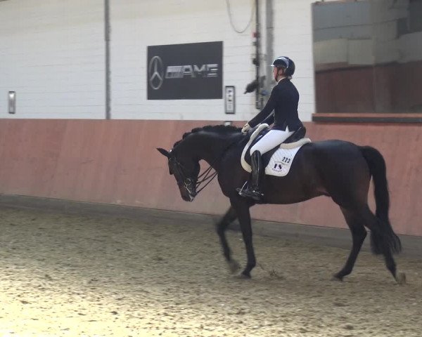 Reitturnier Ratingen-Hösel - Gut Gützenhof 2019