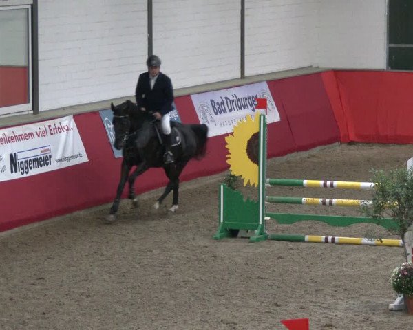 Reitturnier Salzkotten 2019