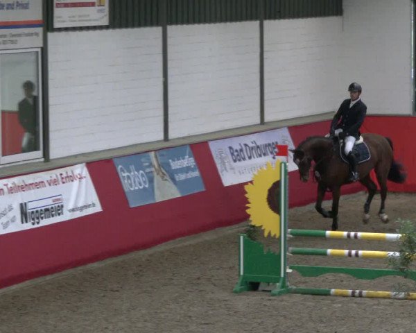 Reitturnier Salzkotten 2019