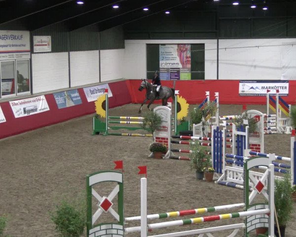 Reitturnier Salzkotten 2019