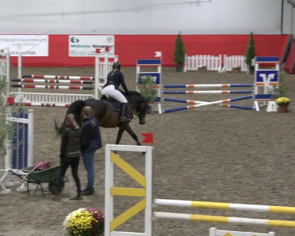 Reitturnier Salzkotten 2019