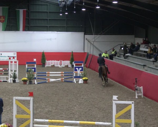 Reitturnier Salzkotten 2019