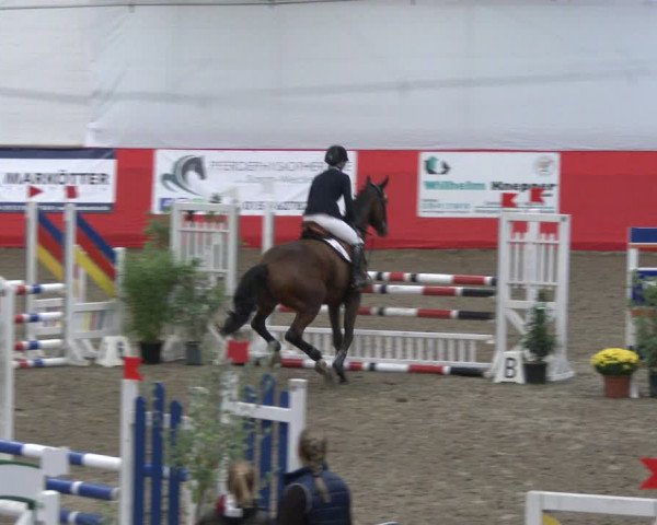 Reitturnier Salzkotten 2019