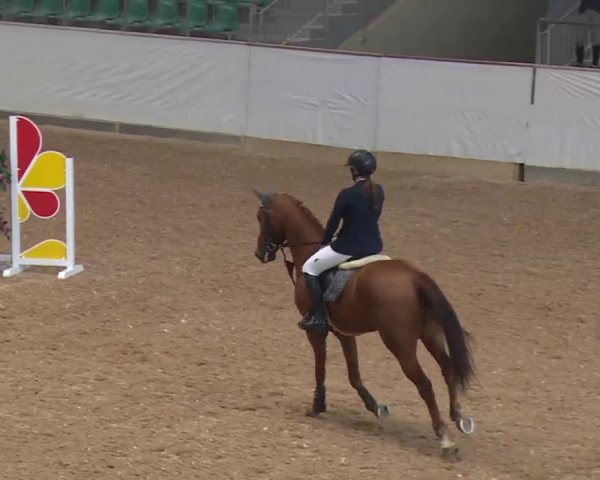 Reitturnier Kreuth/Opf. 2019