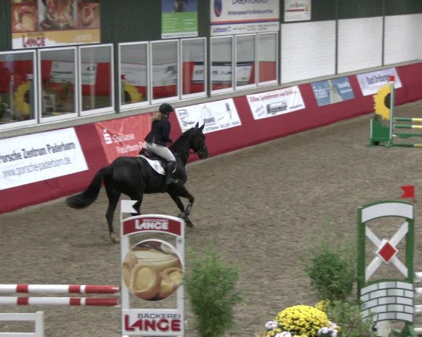 Reitturnier Salzkotten 2019