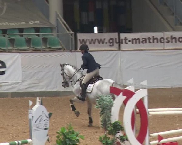 Reitturnier Kreuth/Opf. 2019