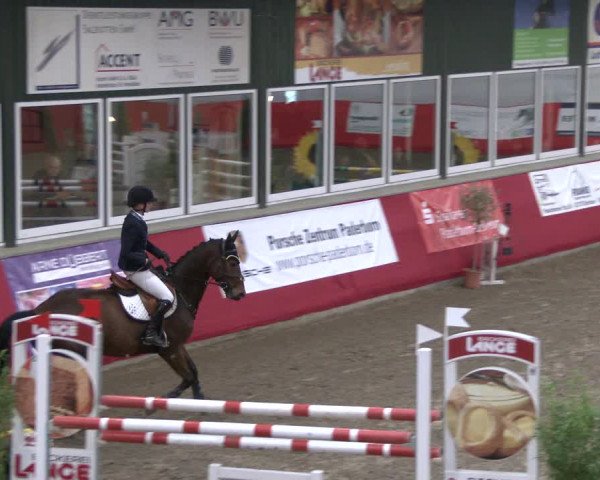 Reitturnier Salzkotten 2019