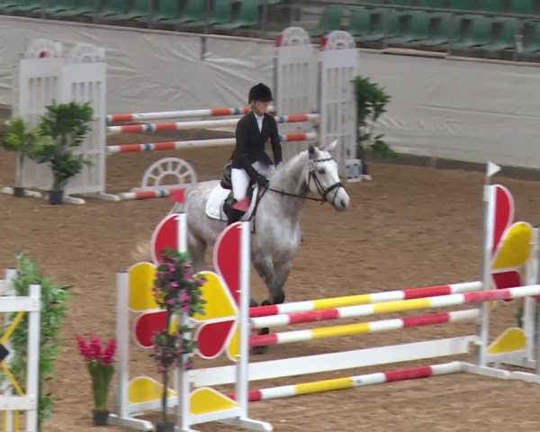 Reitturnier Kreuth/Opf. 2019