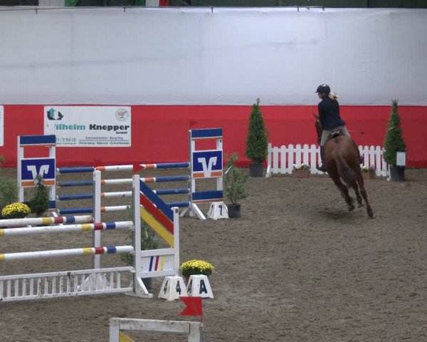 Reitturnier Salzkotten 2019