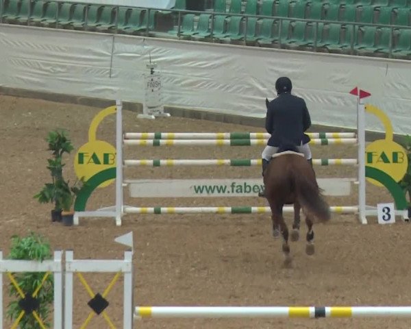 Reitturnier Kreuth/Opf. 2019